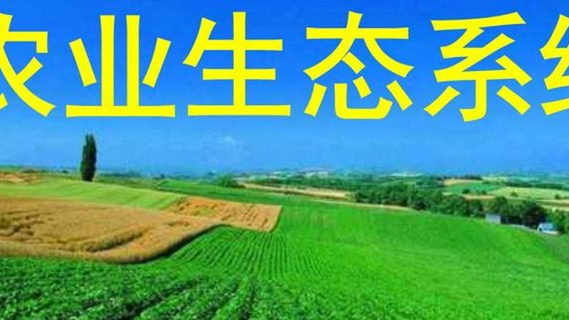无土栽培水果设备：揭秘十大品牌背后的技术秘密