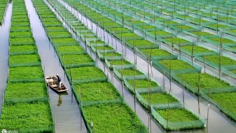 成都周边农业产业园研学基地探秘：如何选择优质研学平台