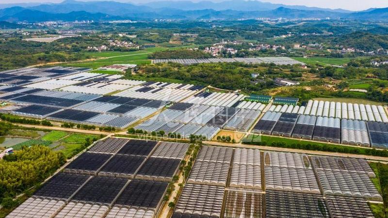 设施农业补贴政策2025：关注要点与合规指南