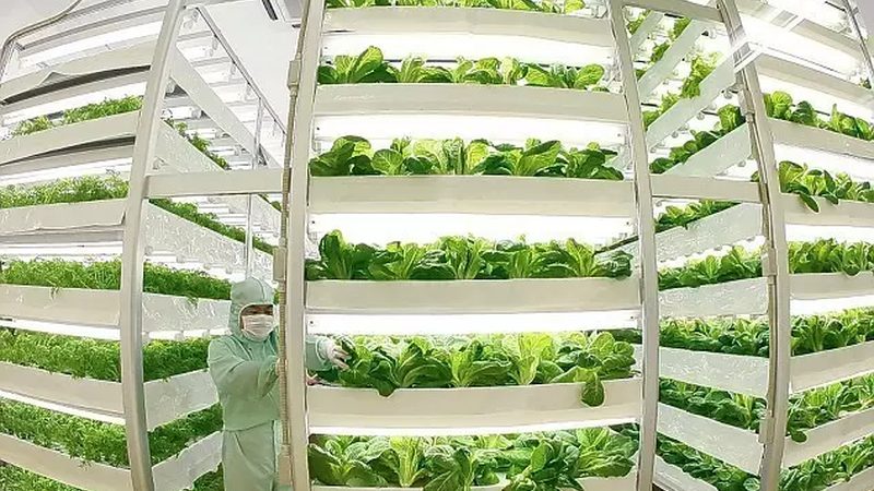 农业项目申报材料编写：关键步骤与要点解析
