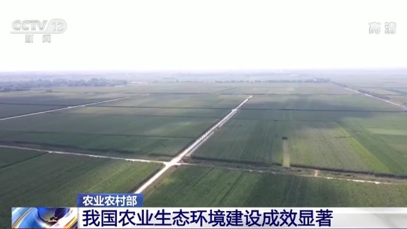 农药肥料套餐哪个牌子好