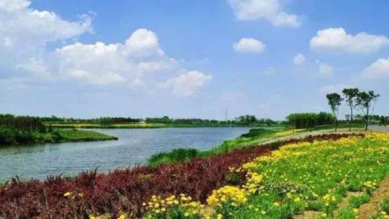 现代农业产业链构建的关键环节解析