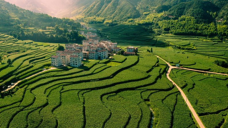 水源选择：种植地块的“生命之源”**