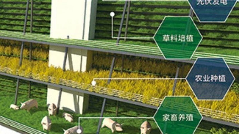 小麦玉米无人机植保，为什么价格差三倍