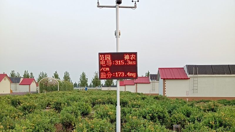 休闲农业新起点：新手必知的五大注意事项**