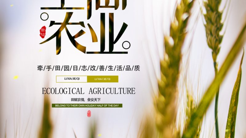 根据市场调研和定位，进行农资店的设计规划。设计应注重以下几点：